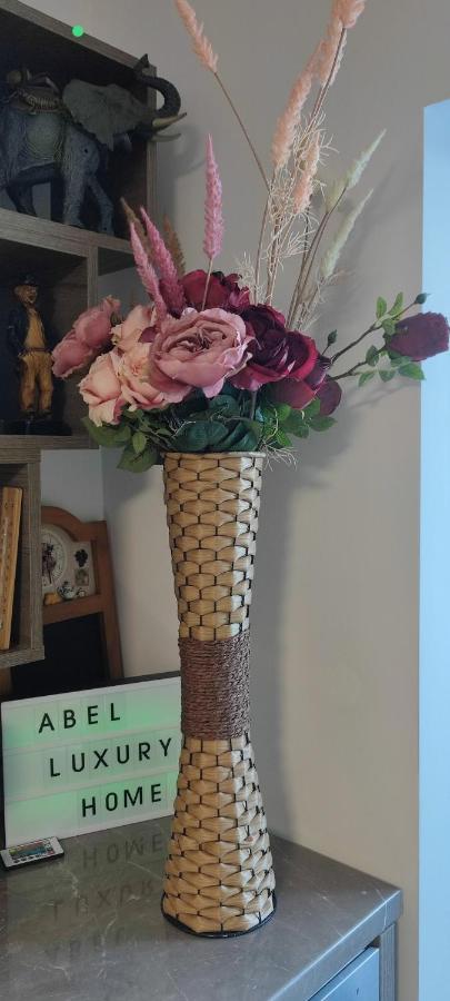 Abel Luxury Home コンスタンツァ エクステリア 写真