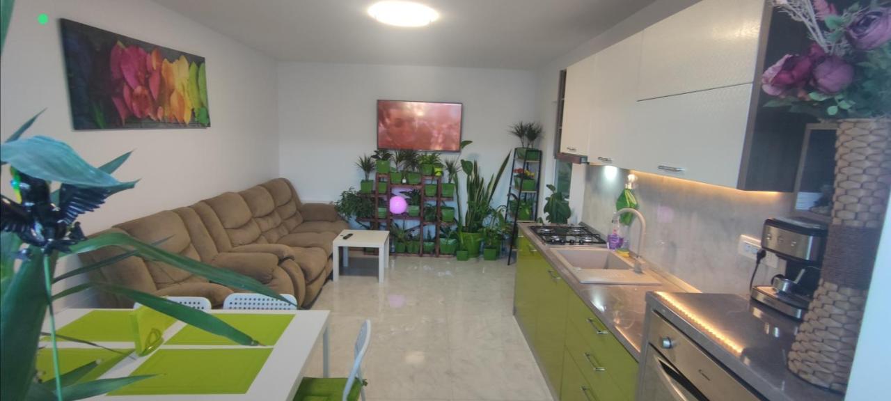 Abel Luxury Home コンスタンツァ エクステリア 写真