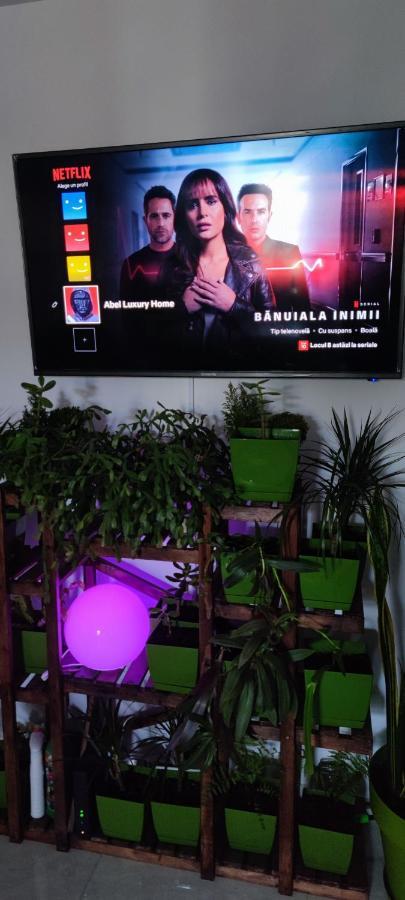 Abel Luxury Home コンスタンツァ エクステリア 写真